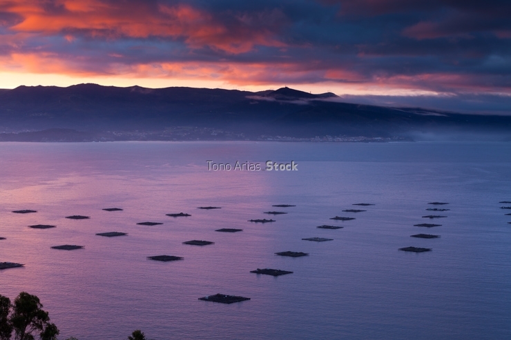 Bateas, ría de Muros Noia, Galicia