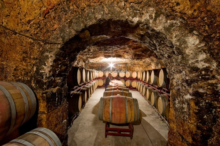 Bodegas, Colmenar de oreja, Madrid