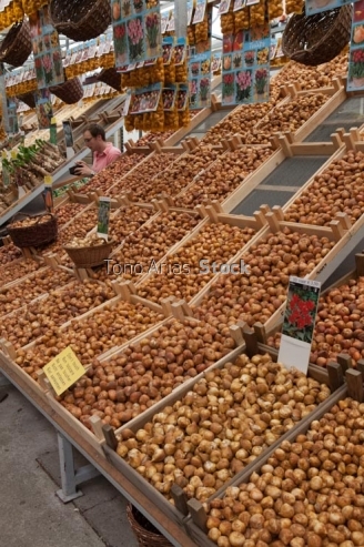 Bulbos,mercado de las flores, Amsterdam, Holanda