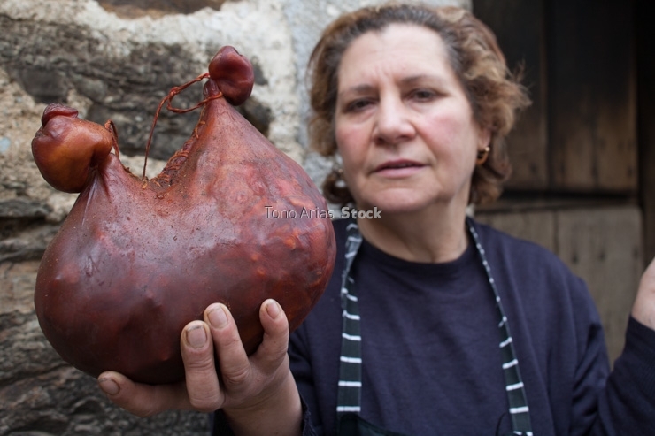 Butelos Tita, A Fonsagrada, provincia de Lugo Galicia
