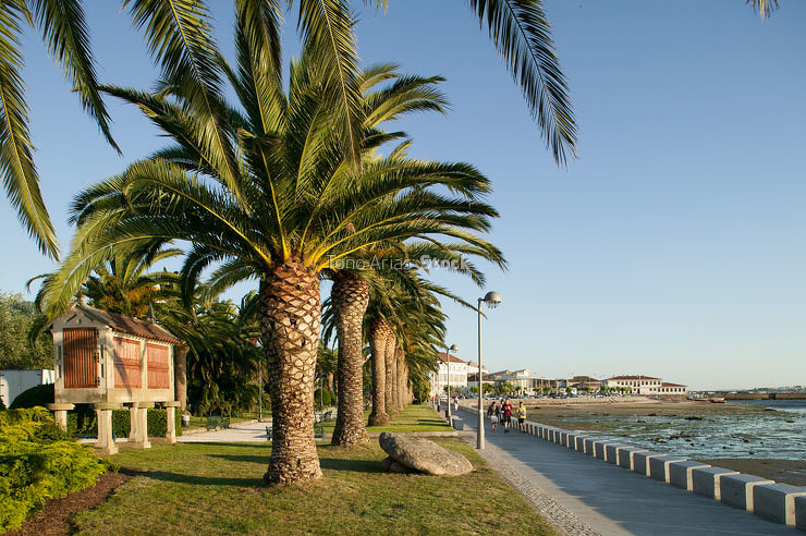 Cambados, Galicia