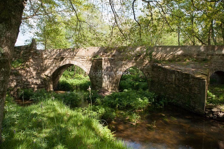 Camiño do Norte, Abadín