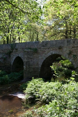 Camiño do Norte, Abadín
