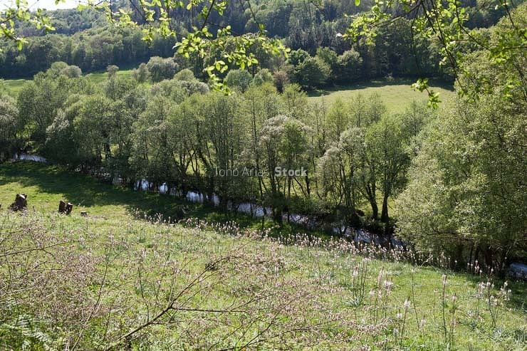 Camiño do Norte, Abadín