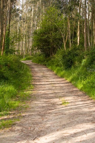 Camiño do Norte, lourenzá