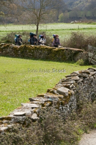Camiño Francés, Galicia