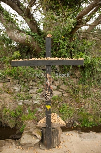 Camiño Francés, Galicia