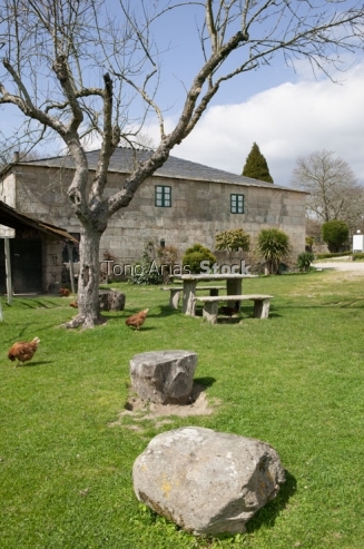 Camiño Francés, Galicia