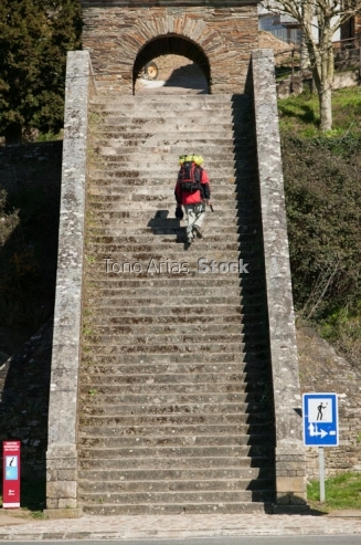 Camiño Francés, Galicia