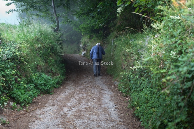 Camino,Courel , Galicia