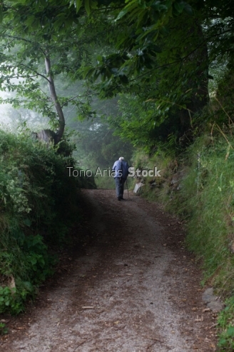 Camino,Courel , Galicia