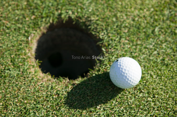 Campo de golf, Rois