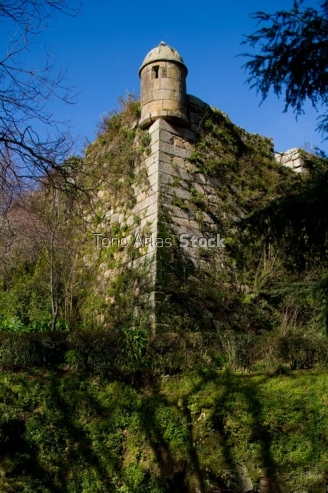 Castelo, O castro, Vigo