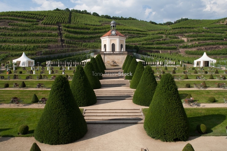 Castillo Wackerbarth, Radebeul  Dresden, Sajonia Alemania