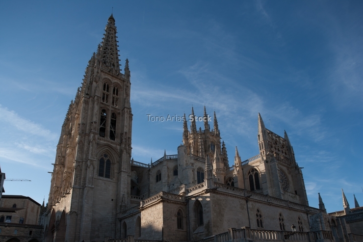 Catedral de Burgos 