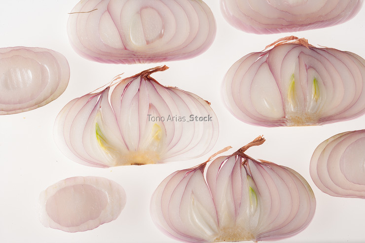 Cebollas