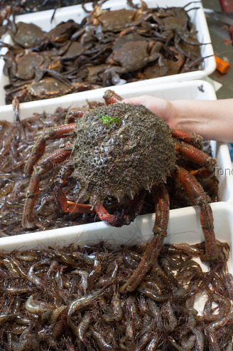 Centolla, mercado de Santiago, Galicia