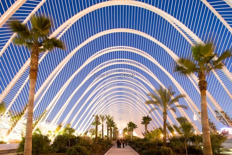 Ciudad de las artes y las ciencias
