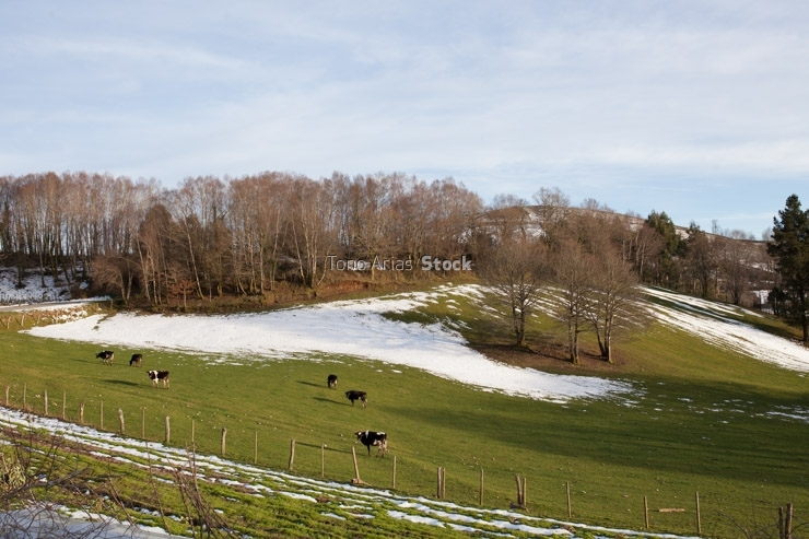 Courel, provincia de Lugo, Galicia