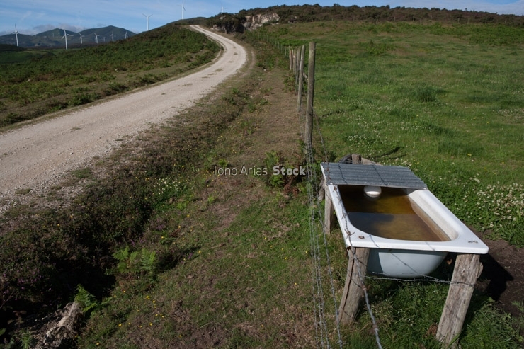 Curro do Valadouro, Galicia