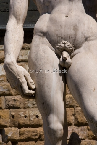David, Florencia