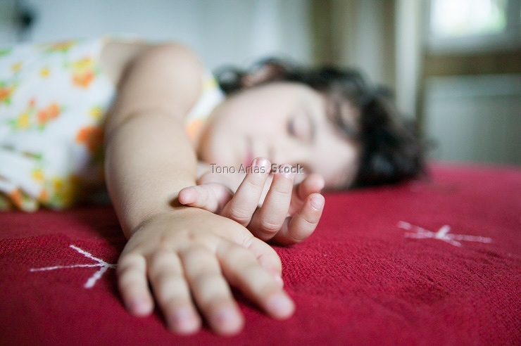 Dormida