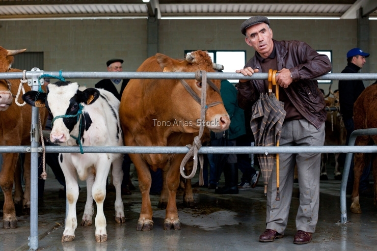 Feira de Monterroso, provincia de Lugo, Galicia