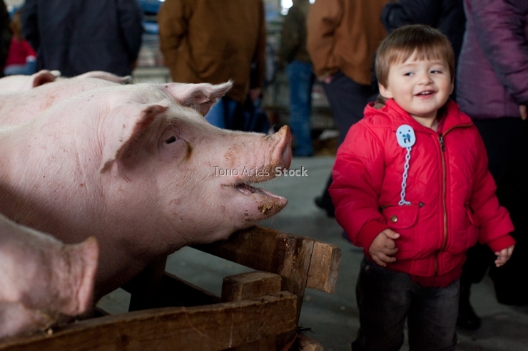 Feira de Monterroso, provincia de Lugo, Galicia