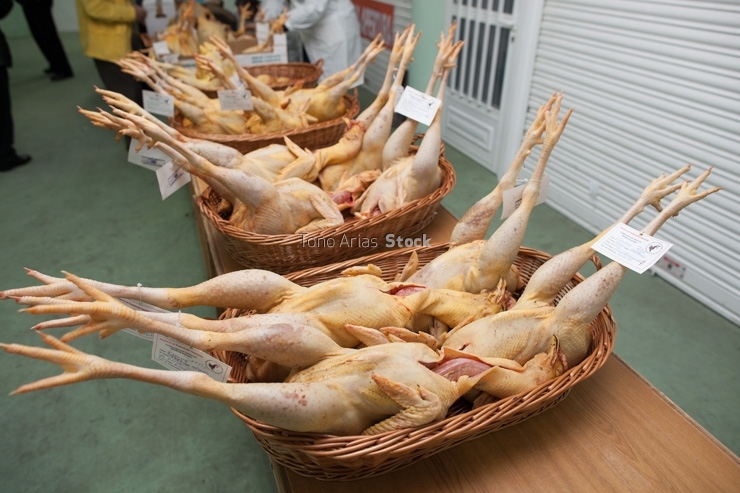 Feira do Galo de Curral en Vila de Cruces, provincia de Ponteved