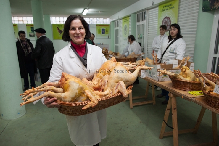 Feira do Galo de Curral en Vila de Cruces, provincia de Ponteved