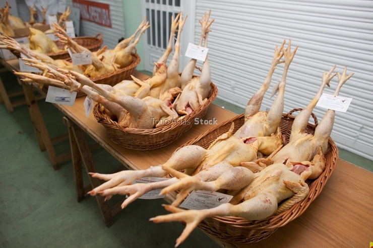 Feira do Galo de Curral en Vila de Cruces, provincia de Ponteved