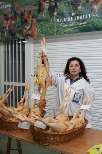 Feira do Galo de Curral en Vila de Cruces, provincia de Ponteved