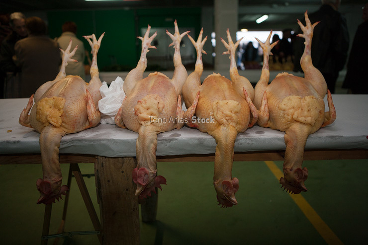 Feria del Capón, Arzúa,provincia de A Coruña, Galicia