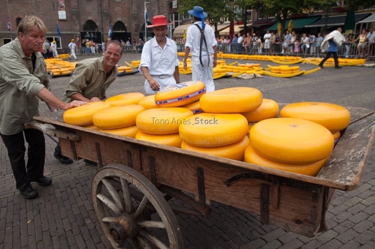 Feria del queso en Alkmart,Holanda,
