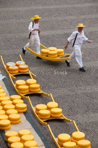 Feria del queso en Alkmart,Holanda,