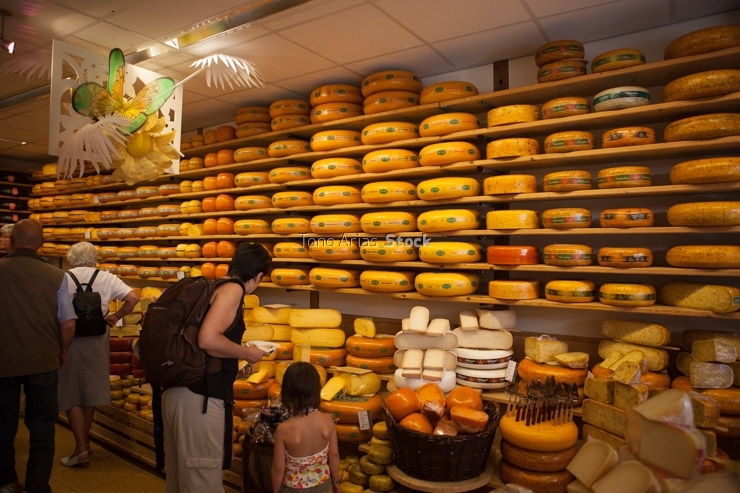 Feria del queso en Alkmart,Holanda,
