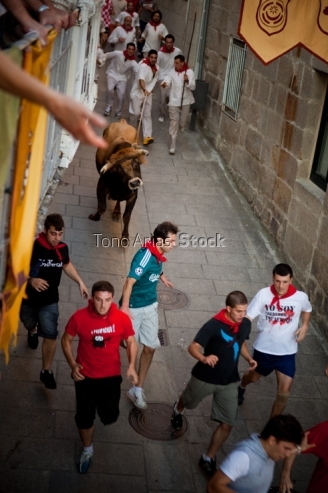 Festa do Boi, Allariz, provincia de Ourense, Galicia