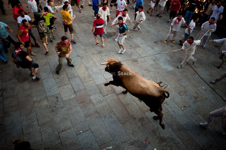Festa do Boi, Allariz, provincia de Ourense, Galicia