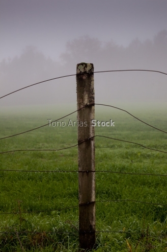 Finca cerrada con postes e alambres