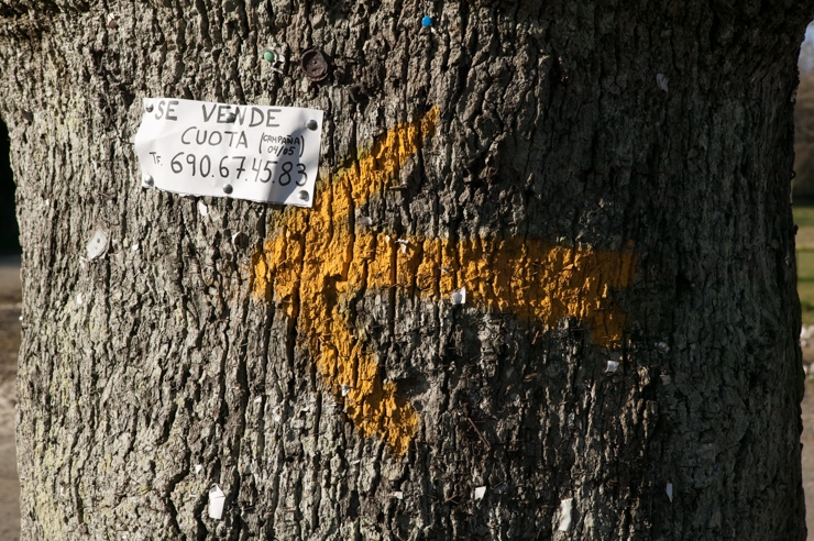 Flecha Amarilla, camiño Francés