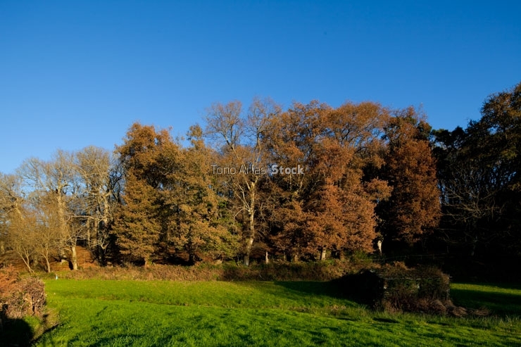 Fraga de Catasós, Pazo de Quintela, Lalín