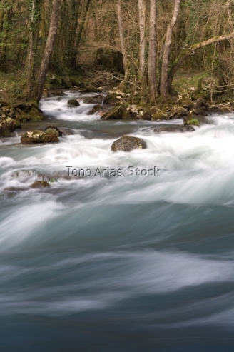 Fragas do Eume, Galicia