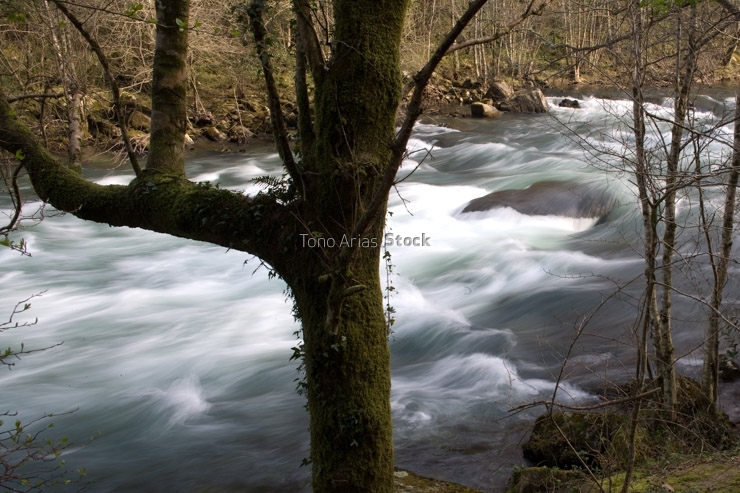 Fragas do Eume, Galicia