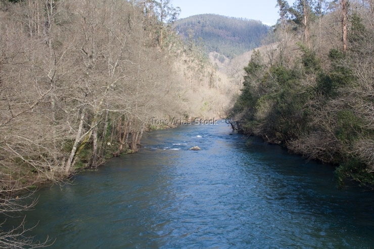 Fragas do Eume, Galicia