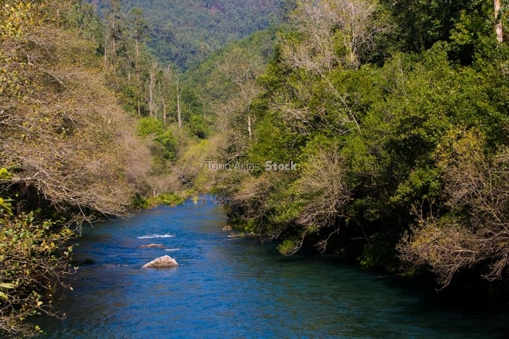 Fragas do Eume, Galicia