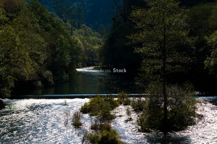 Fragas do Eume, Galicia