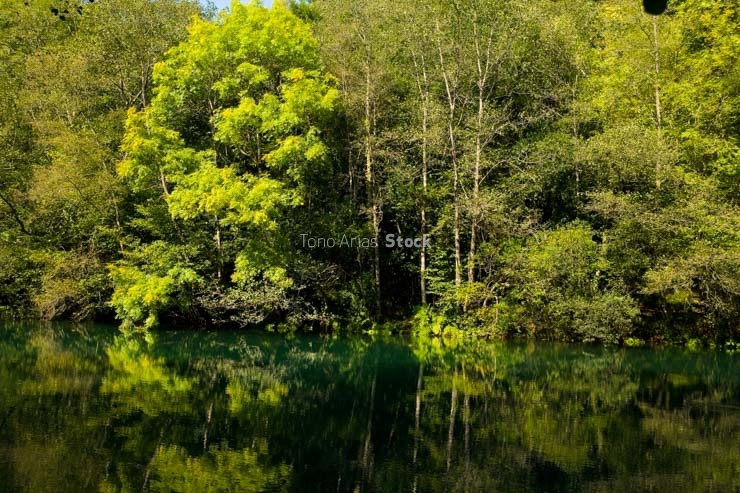 Fragas do Eume, Galicia