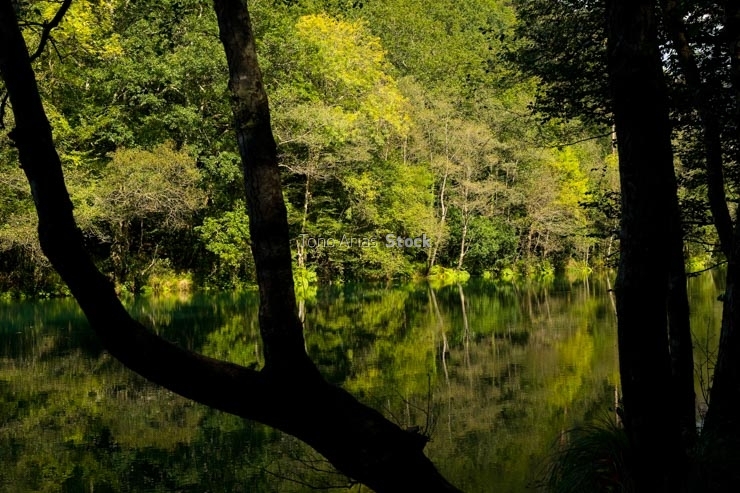Fragas do Eume, Galicia