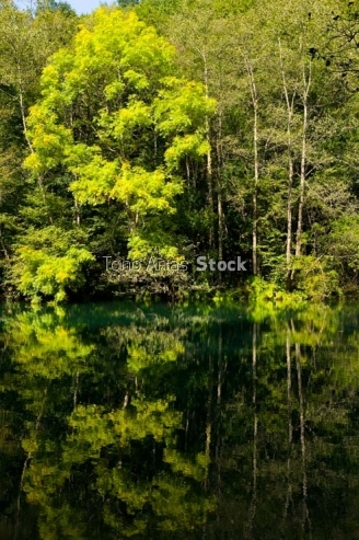 Fragas do Eume, Galicia