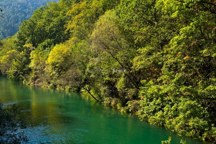 Fragas do Eume, Galicia